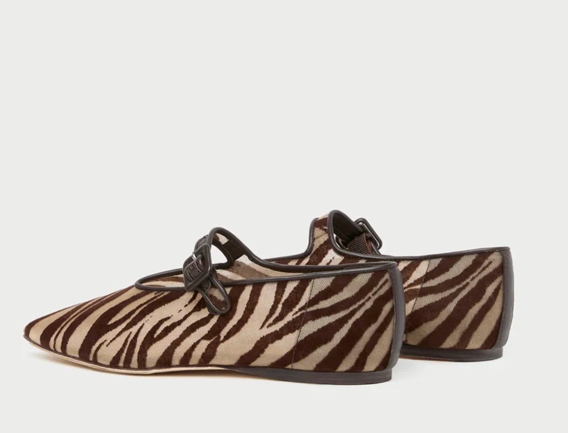 JUNIA ZEBRA