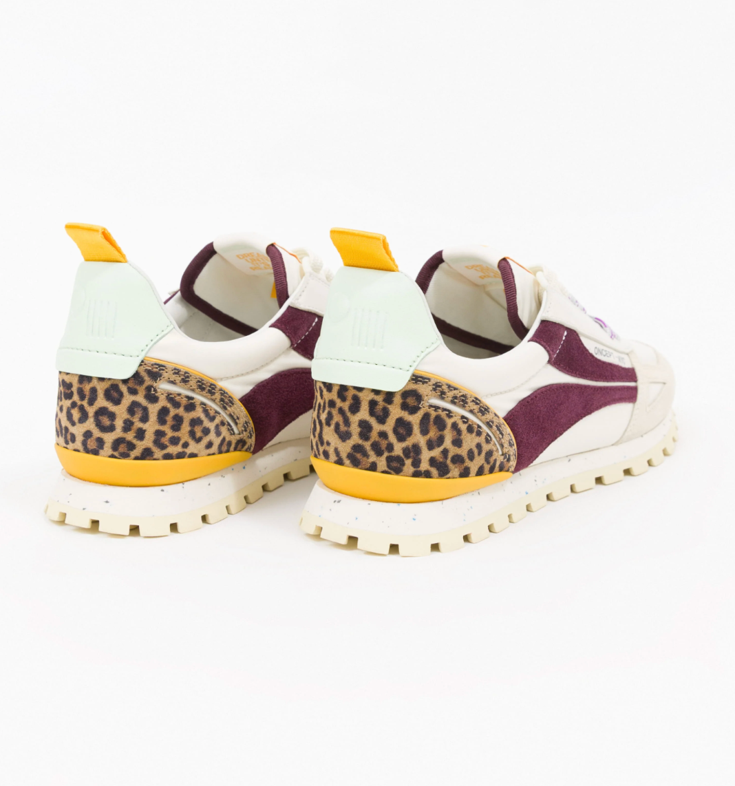TORONTO SAFARI MULTI