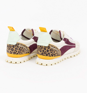 TORONTO SAFARI MULTI