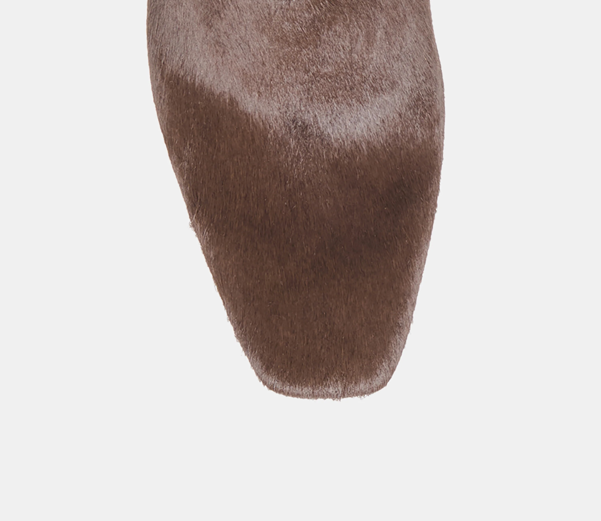 HILAH CHESTNUT