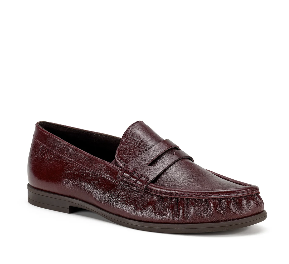 FERRIS GLAZED BORDO