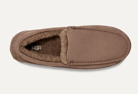 MEN'S ASCOT CARIBOU