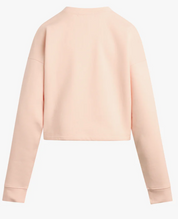 CROPPED COLLEGIATE SWEATSHIRT PINK