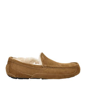 MEN'S ASCOT CHESTNUT